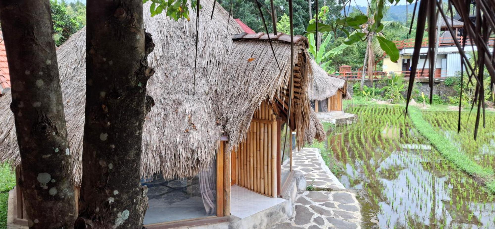 Uma Nirmala Aling-Aling Hotel Singaraja Екстериор снимка